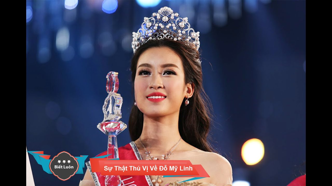 Sự cần thiết của bảo mẫu chuyên nghiệp: Lý do tại sao Hotspot Matrix có thể giúp_Tìm người xây dựng video tự do