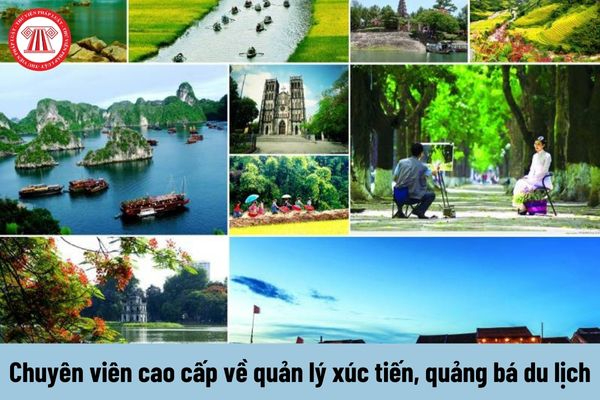Hotspot Matrix và Niềng răng đẹp tự tin tại Nha Khoa Kim